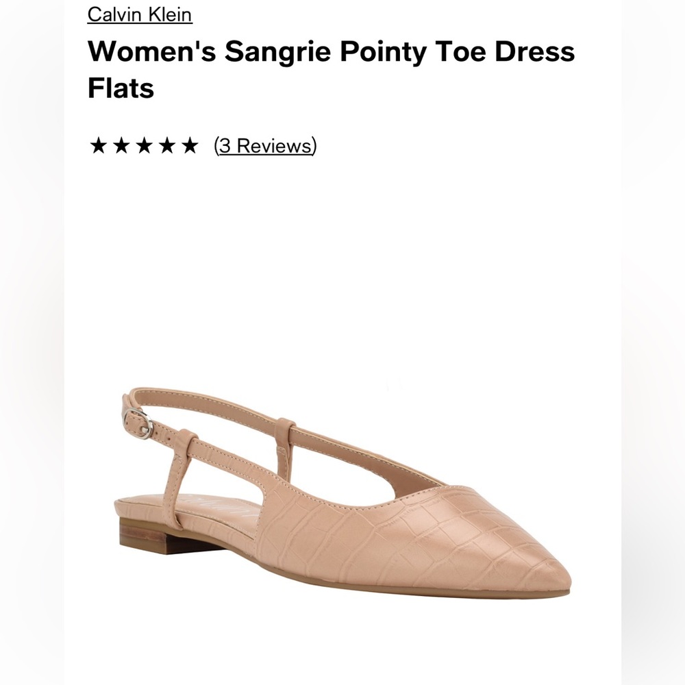 Nude Pointy toe dress flats by Calvin Klein